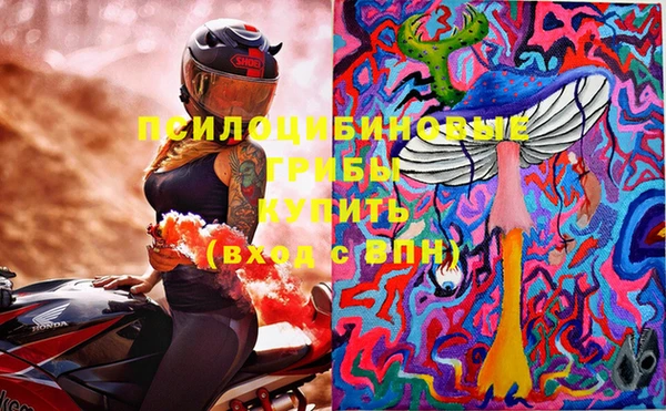 стаф Лабытнанги